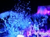 didziausias-putu-sou-obuoliu-sala_foam-party